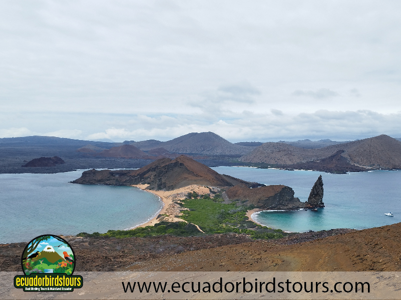 Galapagos Island Hopping by Ecuador Birds Tours 09