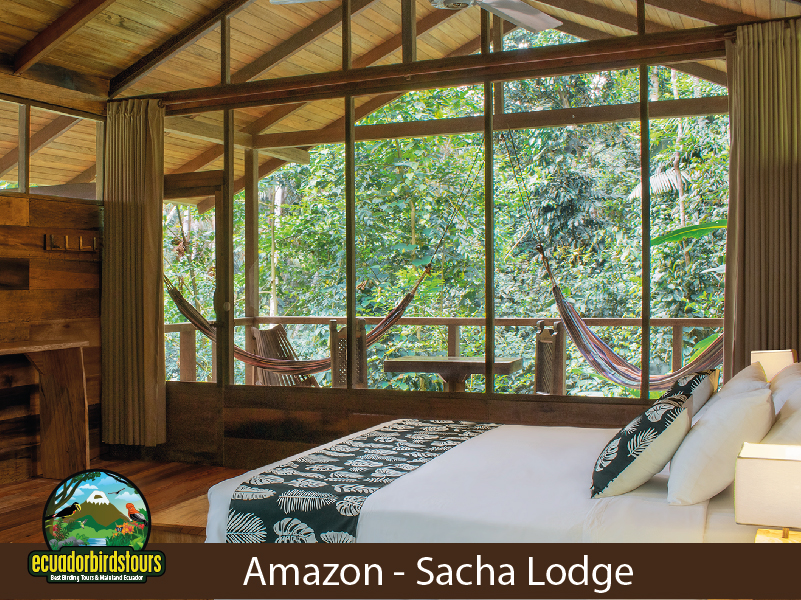 Sacha Lodge Amazon Tours 26