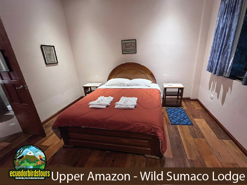 Sacha Lodge Amazon Tours 24