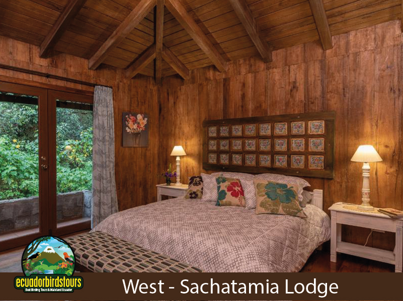 Sachatamia Lodge 05
