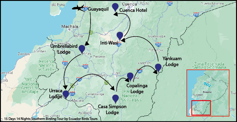 Southern Birding Tours Ecuador 03