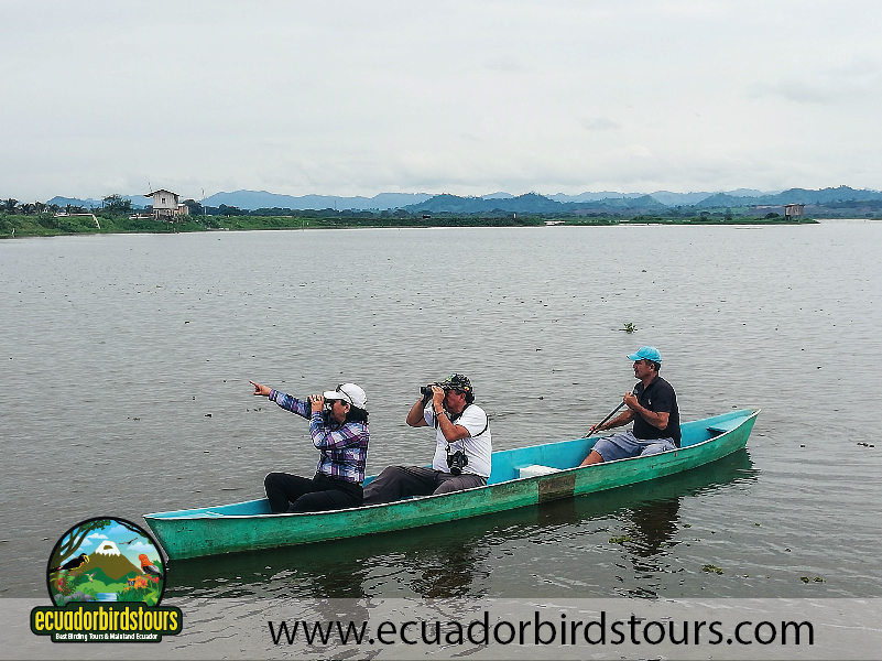 Humedal La Segua Pacific Slope Birding by Ecuador Birds Tours