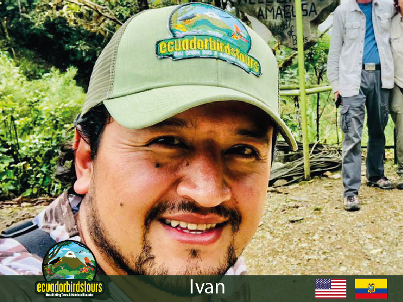 Ivan Parra, Ecuador Birding Guide