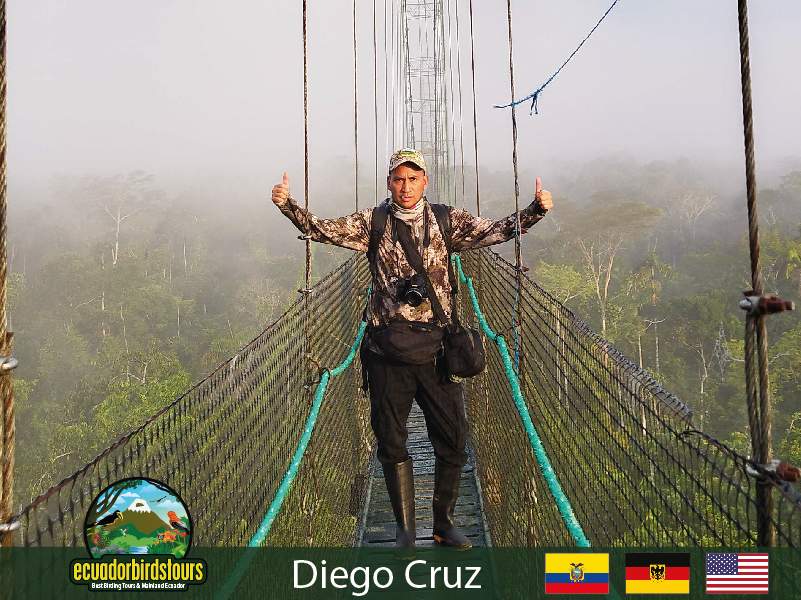 Diego Cruz, Founder and Expert Birding Planner