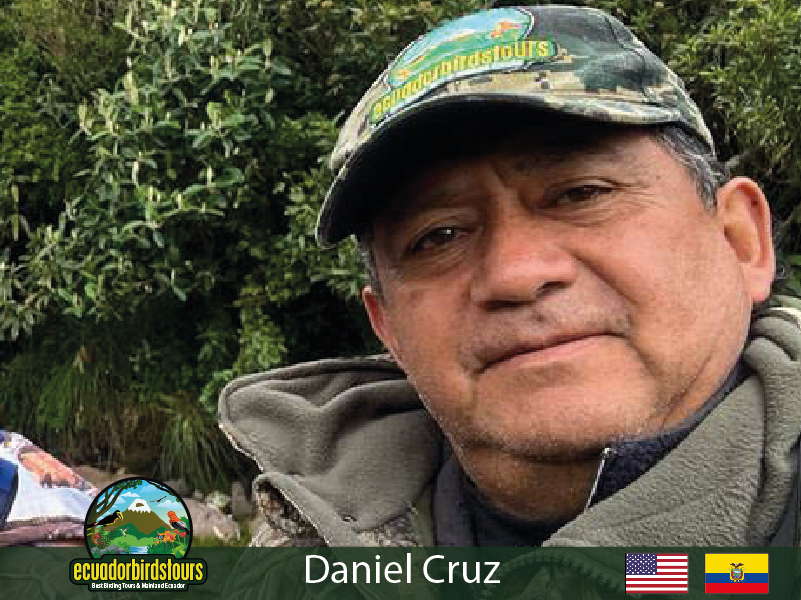 Daniel Cruz, Andes Expert Birding Guide