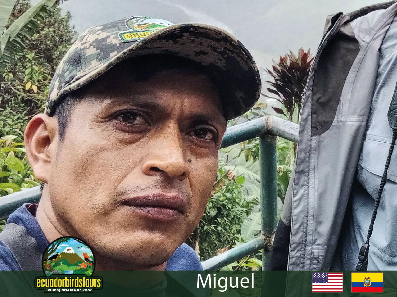 Miguel Hipo, Ecuador Birding Guide