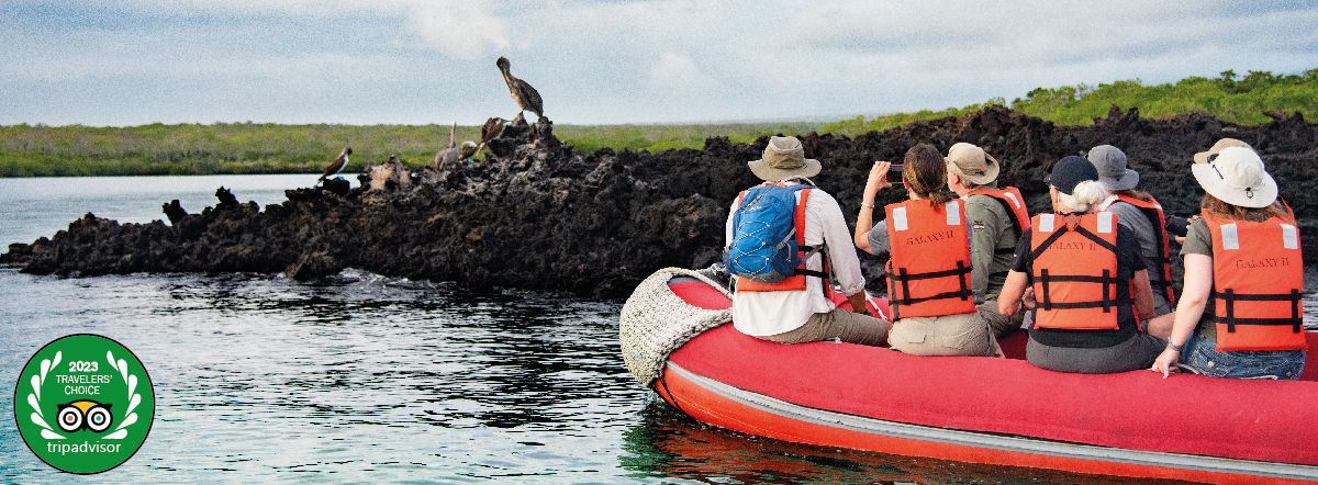 Galapagos Islands Promotions