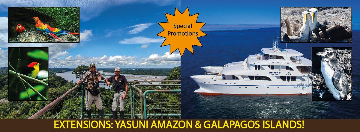 Galapagos And Yasuni Promotions