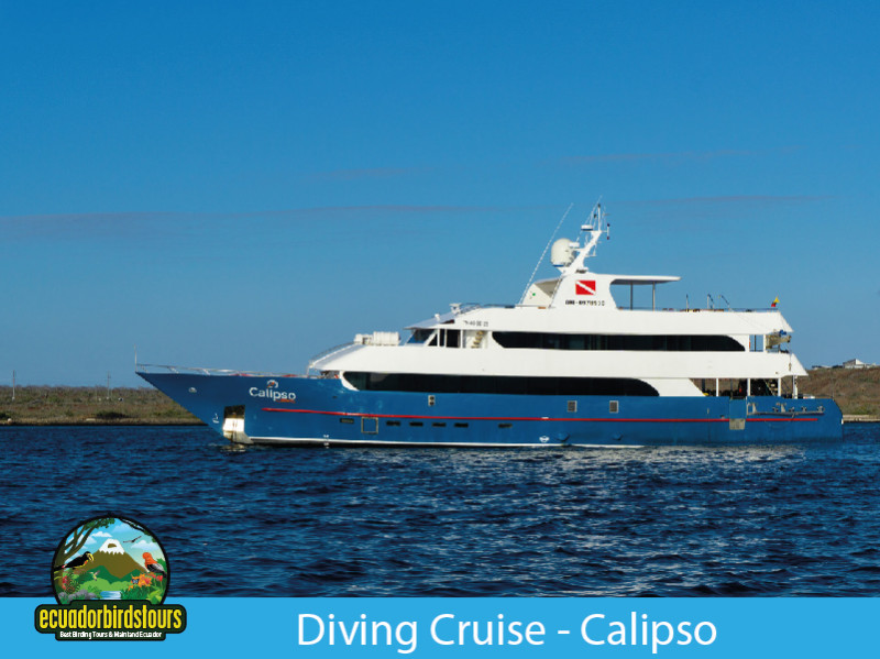 8 Days 7 Nights Diving Cruise