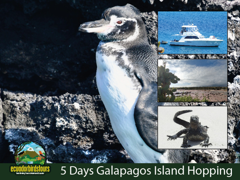 5 Days 4 Nights Magic Galapagos Tour
