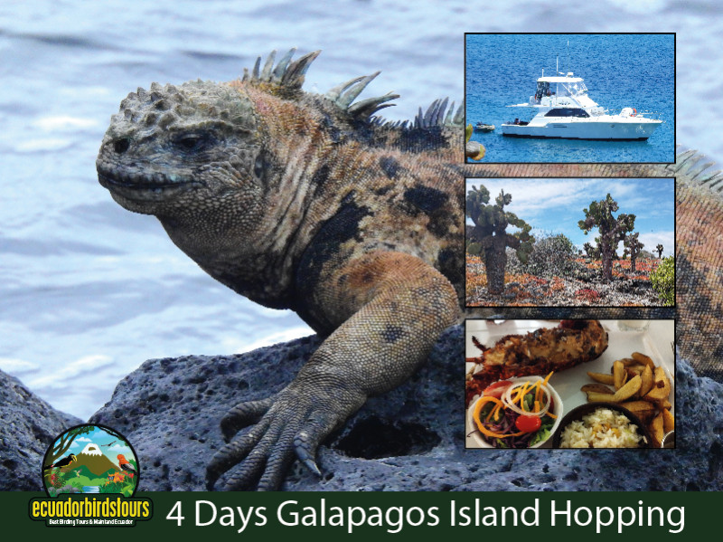 4 Days 3 Nights Intro to Galapagos