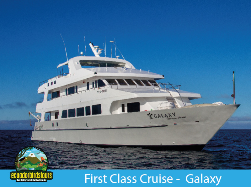 6 and 5 Days First Class Cruise