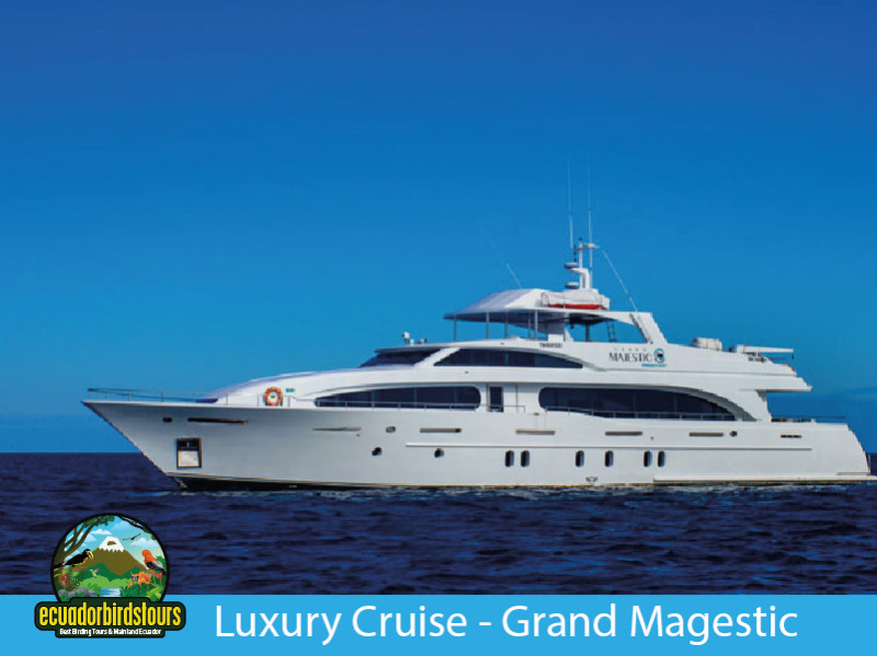 8 and 5 Days Luxury Cruise