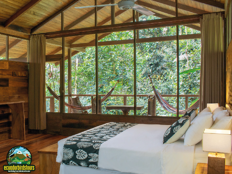 Ecuador Tours: Sacha Lodge Amazon Extension