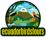 ecuadorbirdstours